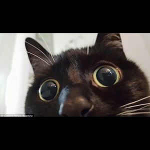 Meet your Posher, Eve